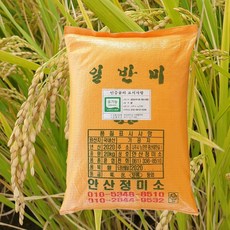 청정지역 나주 금동리쌀 유기농 무농약 밥맛좋은 맛있는 신동진쌀 햅쌀 10kg 20kg, 1박스, 0분도 현미 쌀 : 10kg