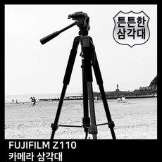 후지필름gf110