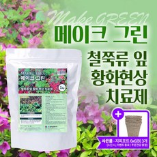 메이크 그린 1kg 철쭉류 황화 현상 치료