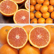 풍부한과즙 자몽 오렌지 카라카라오렌지 3kg, 1개