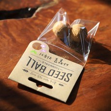 슬로시 허브 방울토마토 해바라기 씨드볼 깃발 씨앗 심기 식물 키우기, 씨드볼(나팔꽃)