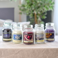 양키캔들라지자1+1