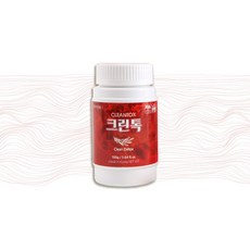 천연발효종