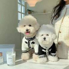 라운드펫마켓 강아지 하객룩 니트 진주 트위드 고급미 뿜뿜, 1개, 화이트