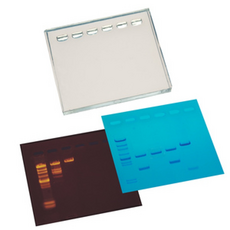유아컴퓨터비교