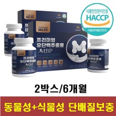 비만운동인슐린