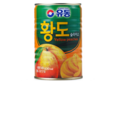 유동 황도 슬라이스