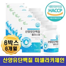 하이키드산양유분유