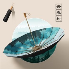 16살우산
