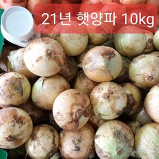 (산지직송) 햇 양파 10kg 정품특대과 21년산 양파 (품질보장) 특품 툭대과 햇양파 10kg, 21년산 햇 양파 정품특대과, 1박스