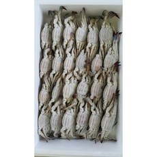 마징가수산 꽃게 암꽃게 냉동꽃게 2kg