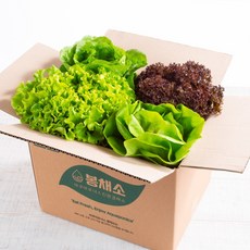 로메인-추천-상품