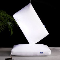 힐튼구스