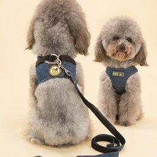 ¶⊙핫딜_A+ 중현견 리드줄 애견하네스 가슴줄 용품 HIPIDOG (Q♭rR‡) 중형 대형견