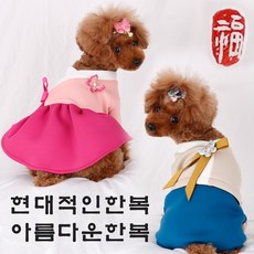 스파오생활한복