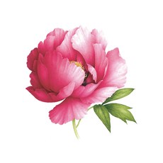 157e8c8b710589d77e4fad191ef675d10116e268f3f57ff518de06e355a5.jpg