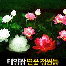 태양광꽃