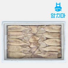 [업소용]냉동 손질오징어 10k 몸통 선동튜브오징어 120/150사이즈, 1개, 120/150 10kg(약55-65마리)
