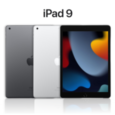 애플 아이패드 9세대 64GB 와이파이 Apple iPad9 WiFI 미국애플 정품, 64GB 실버