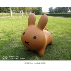 미피호핑볼