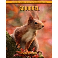 Squirrel: Amazing Photos and Fun Facts about Squirrel Paperback, Independently Published