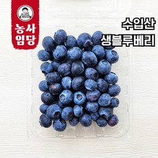 농사임당 생과 블루베리 최상급 생블루베리 주스용 요거트 데코, 1개, 10팩(1팩당 100g 내외)