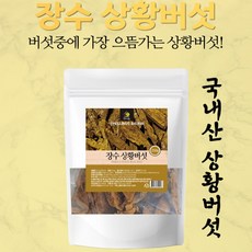 장수상황버섯