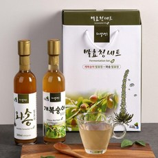 skt선택약정할인