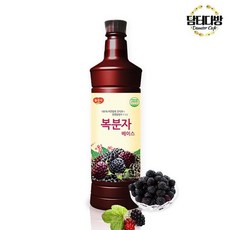 복분자엑기스 970ml 액기스 복분자청 원액 농축액, 1개, 1개입