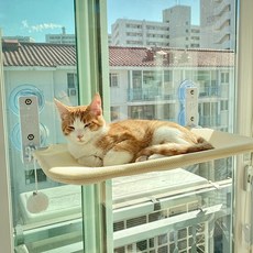 고양이윈도우해먹-추천-상품