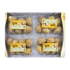스테비아감자