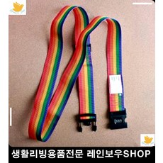 유럽캐리어도난방지