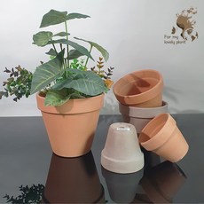 이태리토분 데로마 바소 11cm 15cm 19cm 이탈리아 토분화분 토분 테라코타, 그라파이트