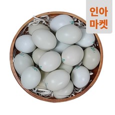 알부자청란