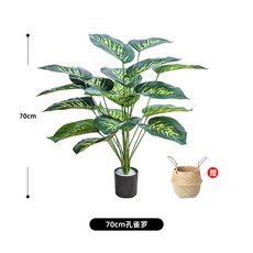 쉐프렐라