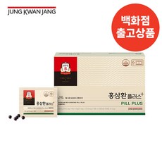 [정관장]신제품 홍삼환플러스 210mg*150환+쇼핑백, 홍삼환플러스210mg*150환, 1개