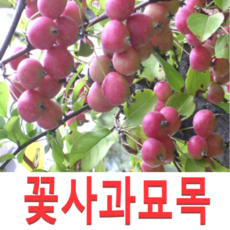 de484025db4b8b60bf751fbf16e7716d571b4449908d7e3f322a95101518.png