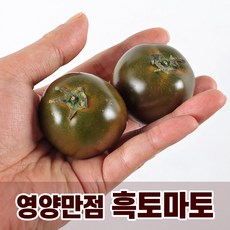 횡성토마토