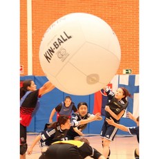 킨볼 kinball kin-ball 단체스포츠 취미 팀볼 omnikin 국제규격볼