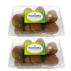 제주 제스프리 골드키위 3.6kg (24-28입), 1개