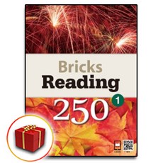 브릭스리딩250