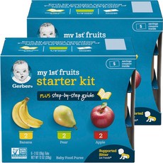 거버 마이 1st 프루트 스타터 어린이 과일퓨레 56g 6개입 + 스텝-바이-스텝 가이드 키트, 2개, 바나나(Banana) 배(Pear) 사과(Apple)