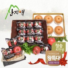 산지애 블랙라벨 왕특대 사과 3.5kg+왕특대 배 4.7kg, 1개