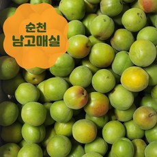 순천 청매실 - 정품 비품 청매실