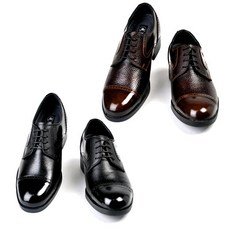 닥터슈라클모델링