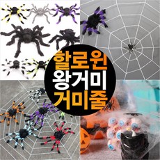 데코왕