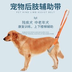 강아지슬개골보호대 블랙 무릎 고관절 다리 제활 보조기구, XS - 초소형, 1개