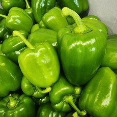 국내산 청피망 1kg 상, 1개