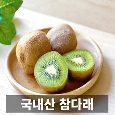 국내산 참다래 그린키위, 1개, 3kg 소 (36과 내외)