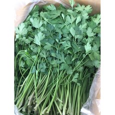 이태리파슬리 (1KG) 수제간식 이탈리안파슬리 향신료 이태리파세리